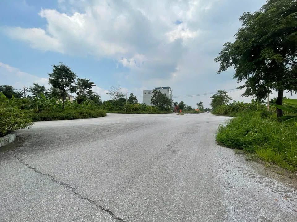 Đất nền mặt đường Tôn Đức Thắng Ninh Bình 120m² - Đầu tư sinh lời ngay!