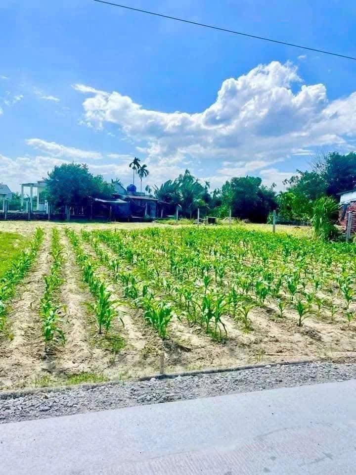 Đất nền Quế Phú 144m² giá 600 triệu - Sổ hồng chính chủ, ô tô vào tận nơi!