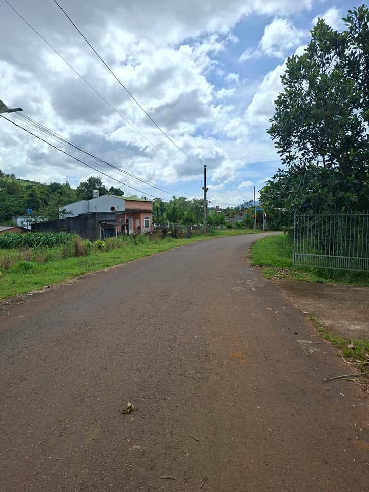 Đất nền tại đường Nguyễn An Ninh, Bảo Lộc 700m² giá 1.8 tỷ - Vị trí đắc địa, tiềm năng phát triển!