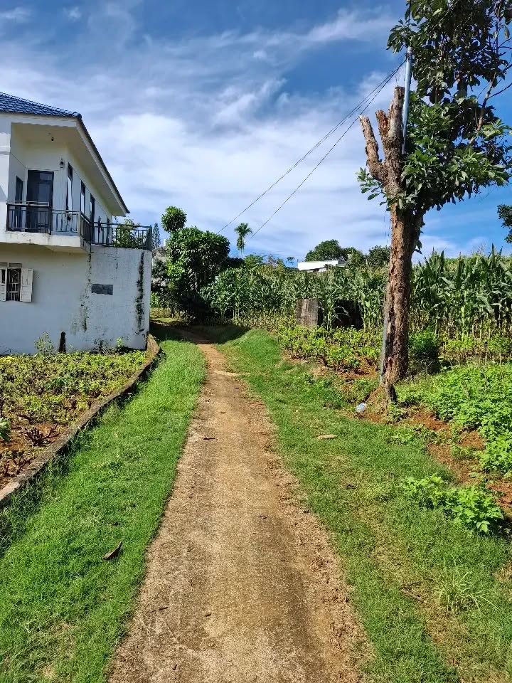 Đất nền Hẻm 260 Lý Thái Tổ, Bảo Lộc 500m² giá 2.1 tỷ - Cơ hội đầu tư hấp dẫn!