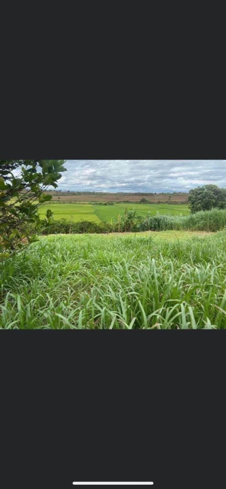 Đất mặt tiền Nguyễn Xí, Trà Đa 376m² giá 1 tỷ - Tiềm năng đầu tư lớn!