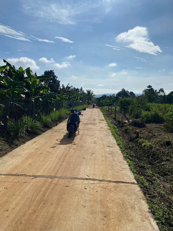 Đất nền Ia Sao, Ia Grai, 214.5m² giá 200 triệu - Cơ hội đầu tư tuyệt vời!