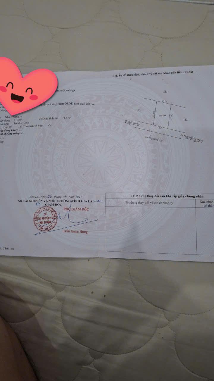 Nhà hẻm Nguyễn Bá Ngọc, Pleiku 66m² giá 1.1 tỷ - Nhà đẹp, sẵn sàng vào ở!