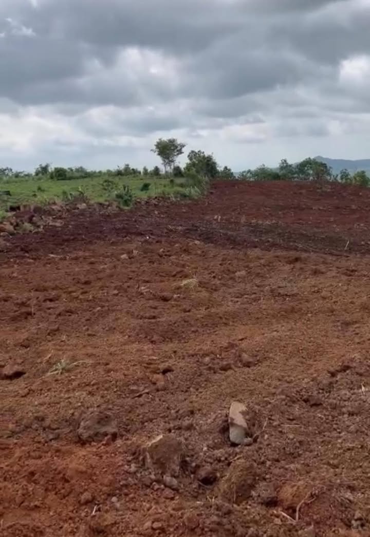 Đất nông nghiệp 7ha xã Kon Chiêng, Gia Lai - Giá 2.8 tỷ, tiềm năng đầu tư lớn!