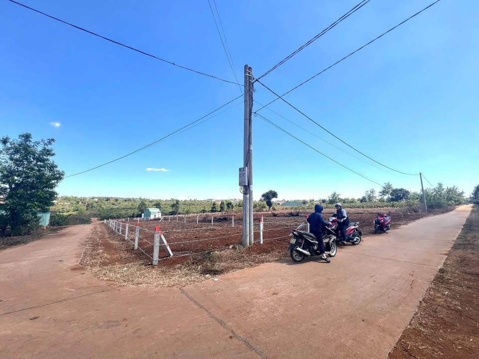 Đất nền hẻm 104 Trần Văn Ơn, Pleiku 232m² giá chỉ 525 triệu - Cơ hội đầu tư hấp dẫn!