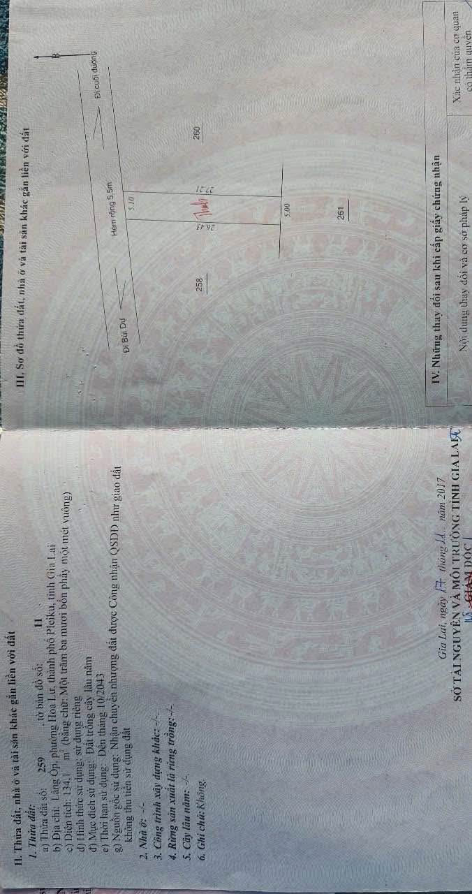 Đất nông nghiệp đường Bùi Dự, Gia Lai 135m² giá 415 triệu - Cơ hội đầu tư lý tưởng!