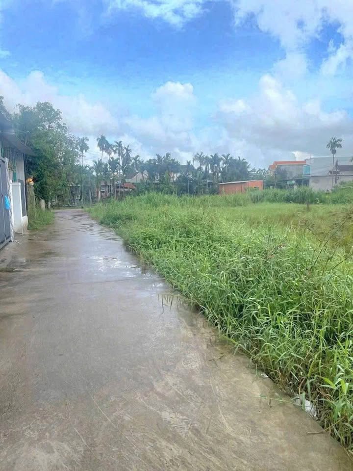 Đất nền hẻm 282 Hoàng Hoa Thám, Quảng Ngãi 176m² - Giá tốt, thương lượng ngay!