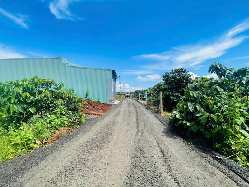 Đất thổ cư hẻm 100 Nguyễn Kiệm, Thống Nhất, 150m² - Giá chỉ 400 triệu!