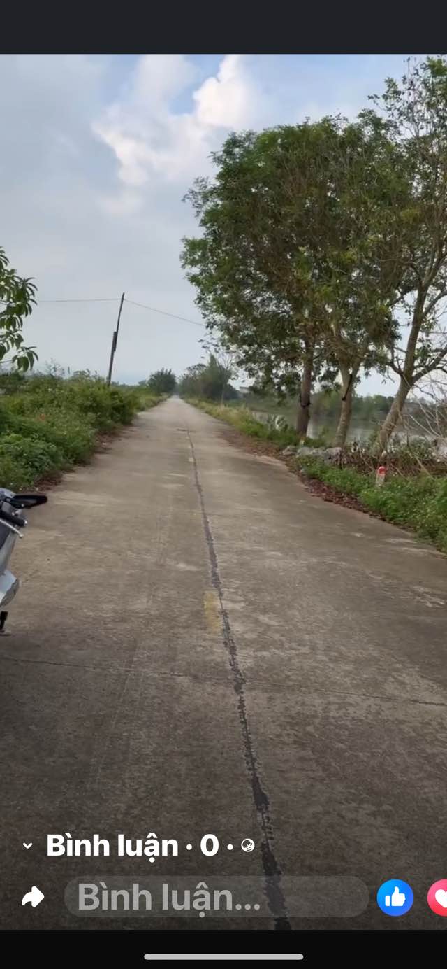 Đất nền Thanh Lạc Nho Quan 150m² giá chỉ 600 triệu - Cơ hội đầu tư tuyệt vời!