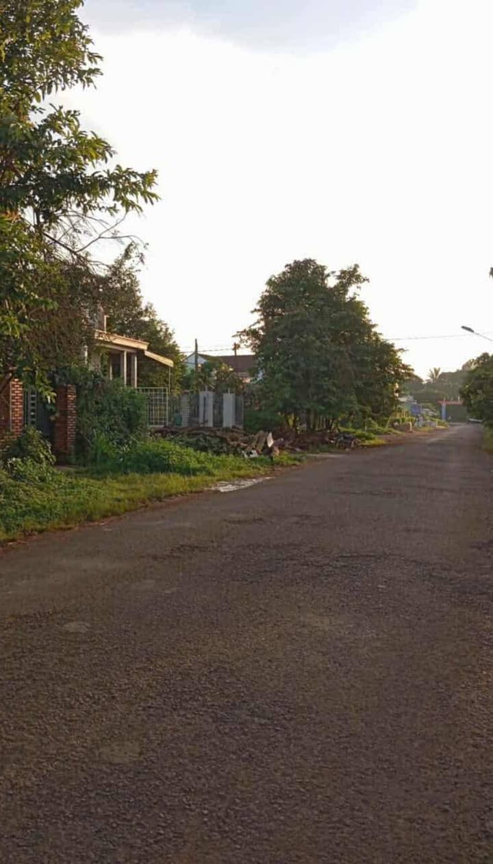 Đất thổ cư 180m² mặt tiền đường Đinh Tiên Hoàng, Chư Pưh - Giá chỉ 810 triệu