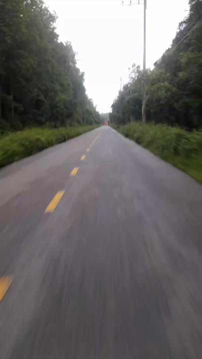 Đất nền mặt tiền Lý Nhơn Cần Giờ 10.000m² - Đầu tư sinh lời ngay!