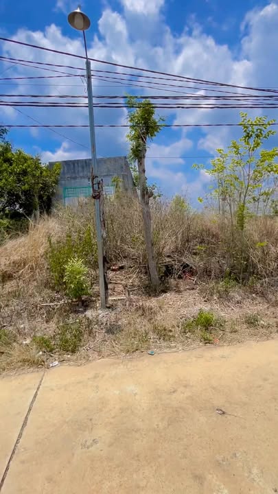 Đất nền mặt tiền đường bê tông 2178m² tại Phú Tân, Định Quán - Giá chỉ 1.65 tỷ