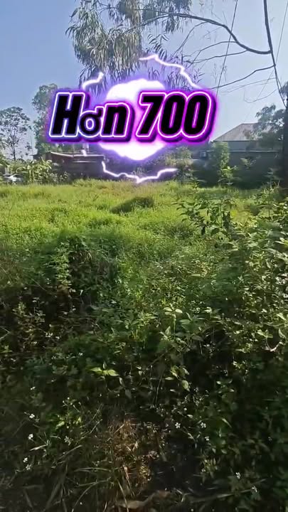 Lô đất Tân Hương, Phổ Yên 103m² giá 700 triệu - Cơ hội đầu tư hấp dẫn!