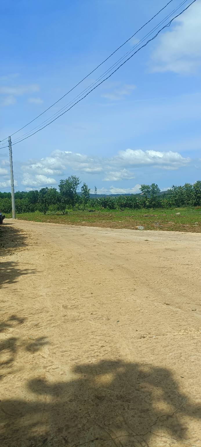 Đất nền mặt tiền Phú Lâm 1080m² giá 54 tỷ - Đầu tư sinh lời ngay!