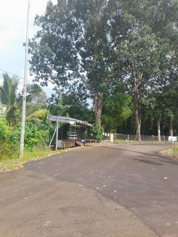 Đất nền 1166m² xã Láng Lớn, huyện Châu Đức - Giá bán chỉ 890 triệu