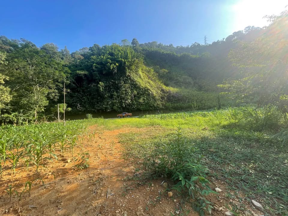 Đất vườn 2000m² Quốc lộ 3B, Dương Phong - Giá chỉ 700 triệu!