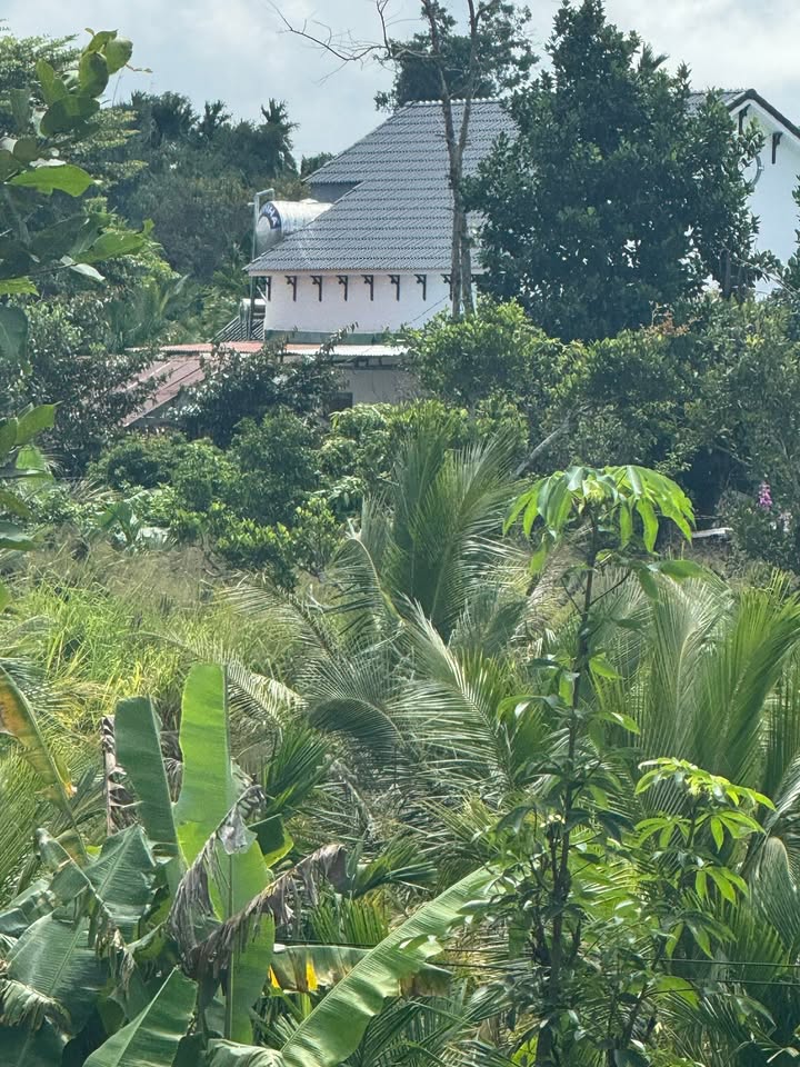 Đất nền Phú Xuân 56m² giá tốt - Cơ hội đầu tư sinh lời!