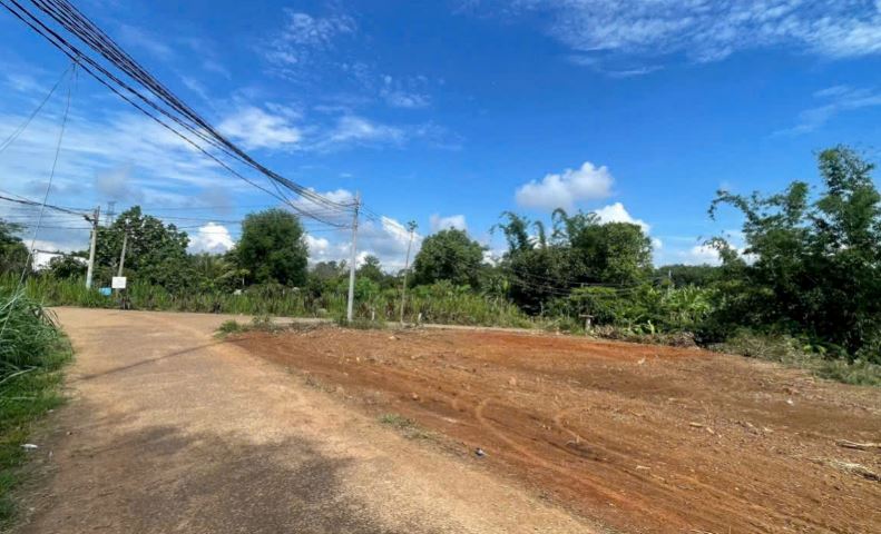 Đất thổ cư 160m² gần KCN Dầu Giây chỉ 620 triệu - Sổ hồng riêng