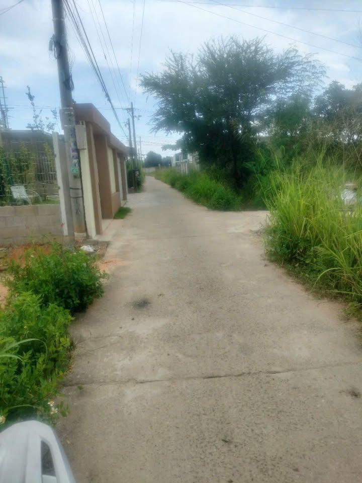 Đất thổ cư 430m² tại Lại An Cây Trôm, Hàm Thắng chỉ 1.6 tỷ - Đầu tư sinh lời ngay!