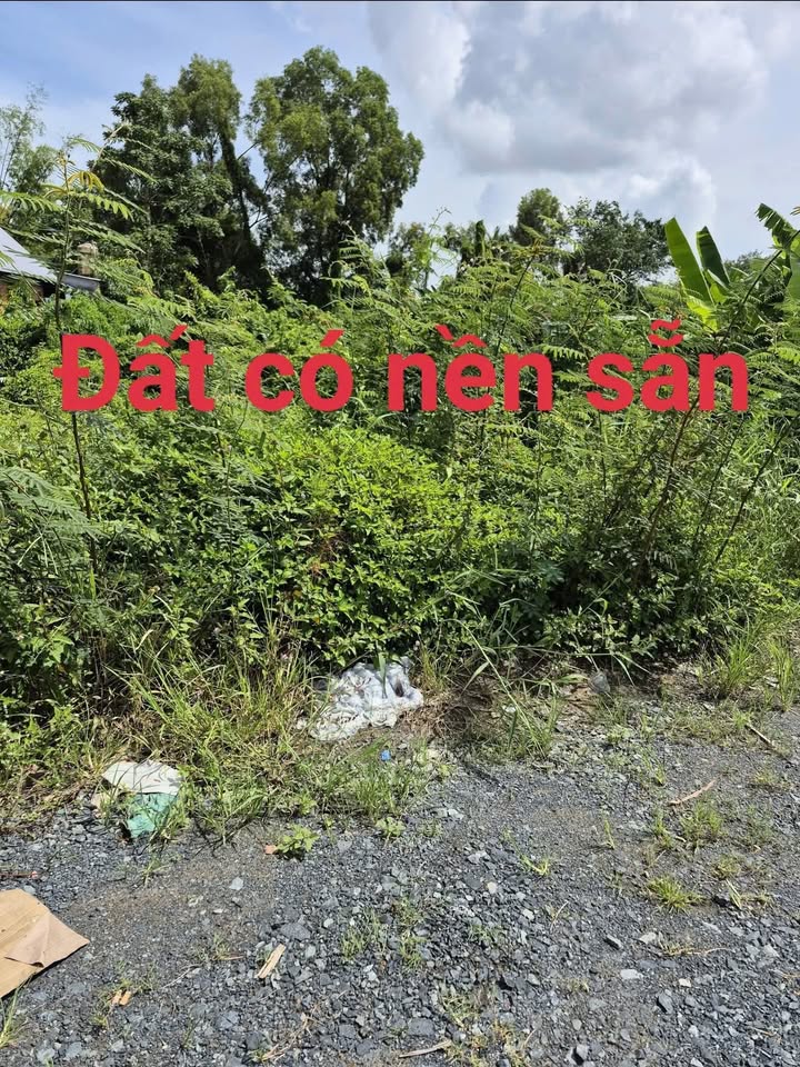 Đất nền ấp Minh Long, xã Minh Hòa, An Giang 1830m² - Khu vực kinh doanh sầm uất!