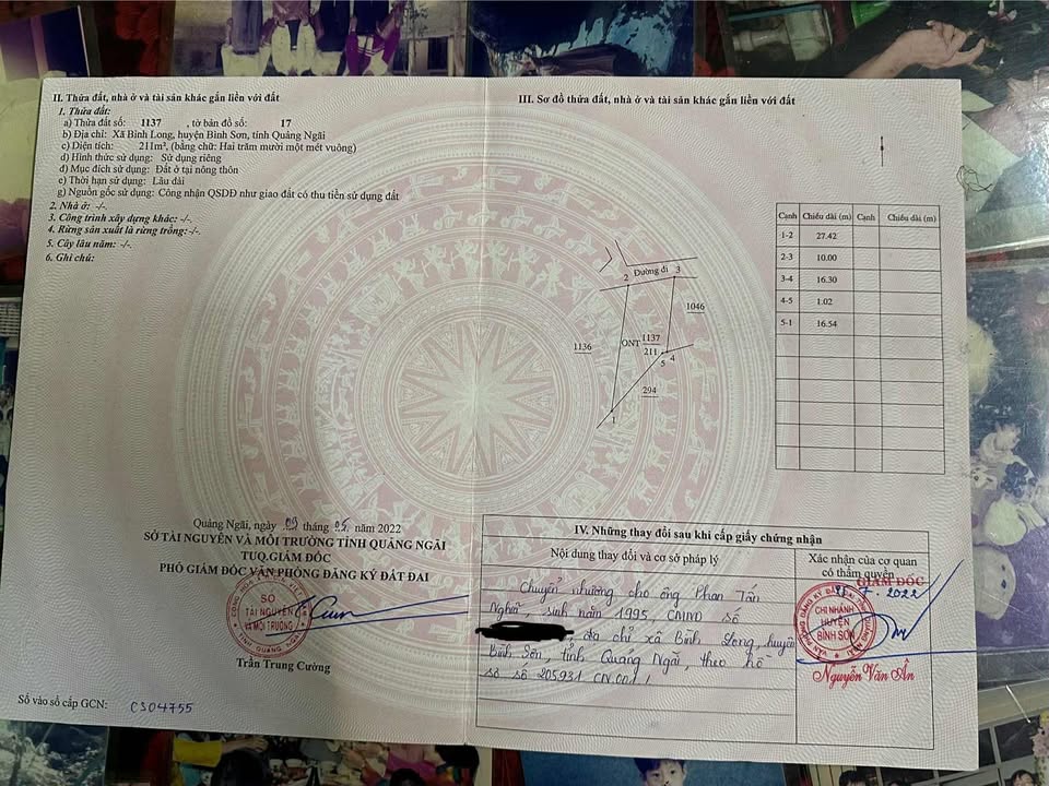 Lô đất chính chủ 270m² tại Bình Sơn, Quảng Ngãi - Giá chỉ 1.25 tỷ!