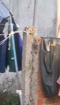 Đất nền 85.5m² đường Kênh Trung Ương, Bình Chánh - Giá chỉ 600 triệu!