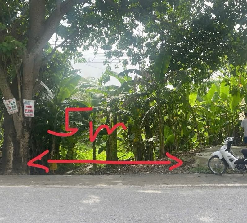 Đất nền mặt Quốc lộ 45, xã Quảng Thịnh, 100m² giá 1.95 tỷ - Cơ hội đầu tư tuyệt vời!