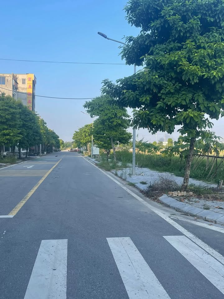 Đất nền KĐT Tứ Trưng OM8-8 Vĩnh Phúc 118.8m² chỉ 3.9 tỷ - Đầu tư sinh lời ngay!