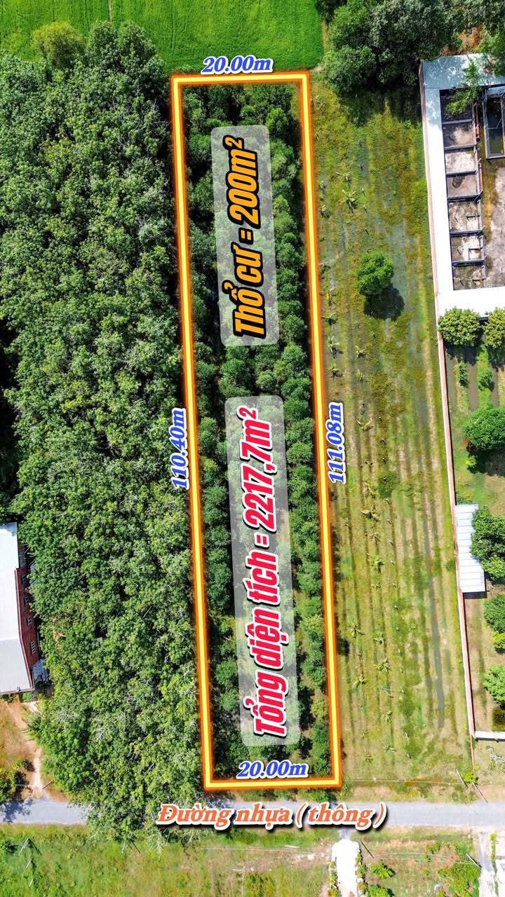 Đất nền đẹp tại Xã Long Chữ, Bến Cầu, Tây Ninh 2217m² - Cơ hội đầu tư tuyệt vời!