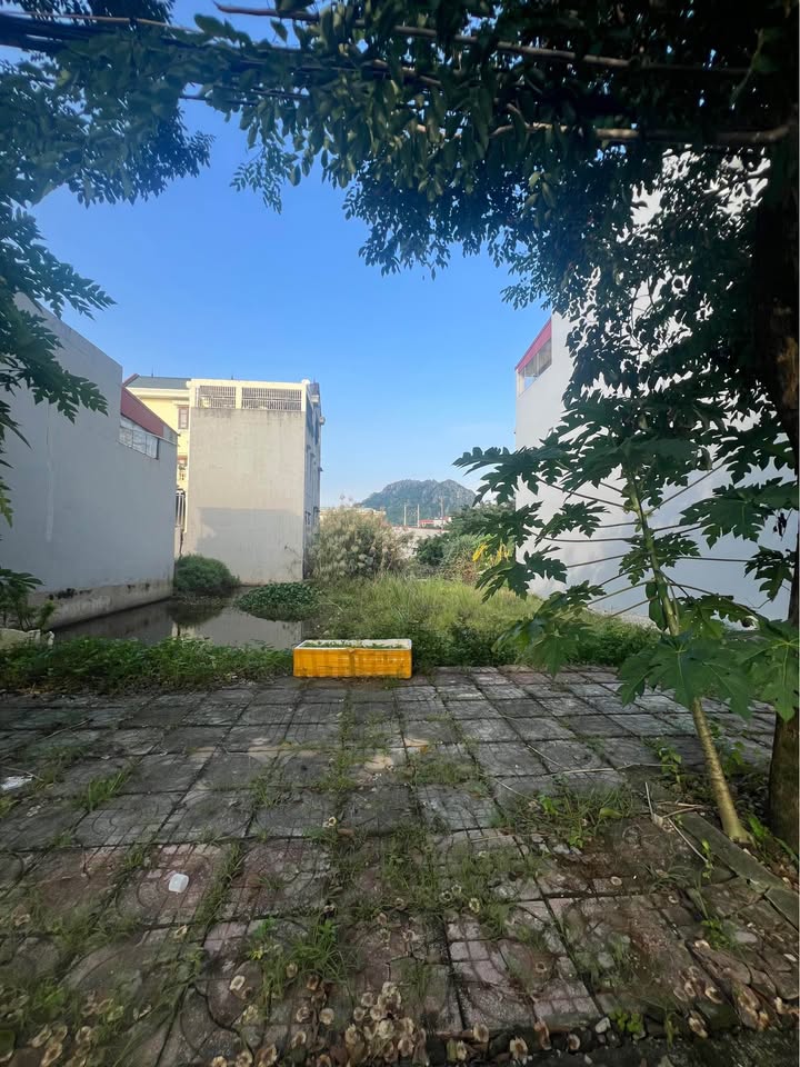 Đất nền Đầm Sen Thiên Tôn, 88m² giá 4 tỷ - Vị trí đắc địa, đường thông thoáng!