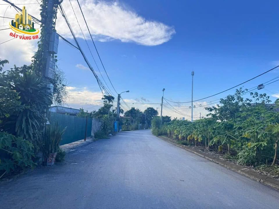 Đất mặt đường Cổ Loan Ninh Tiến 120m² giá 5.9 tỷ - Tiềm năng đầu tư sinh lời cao!