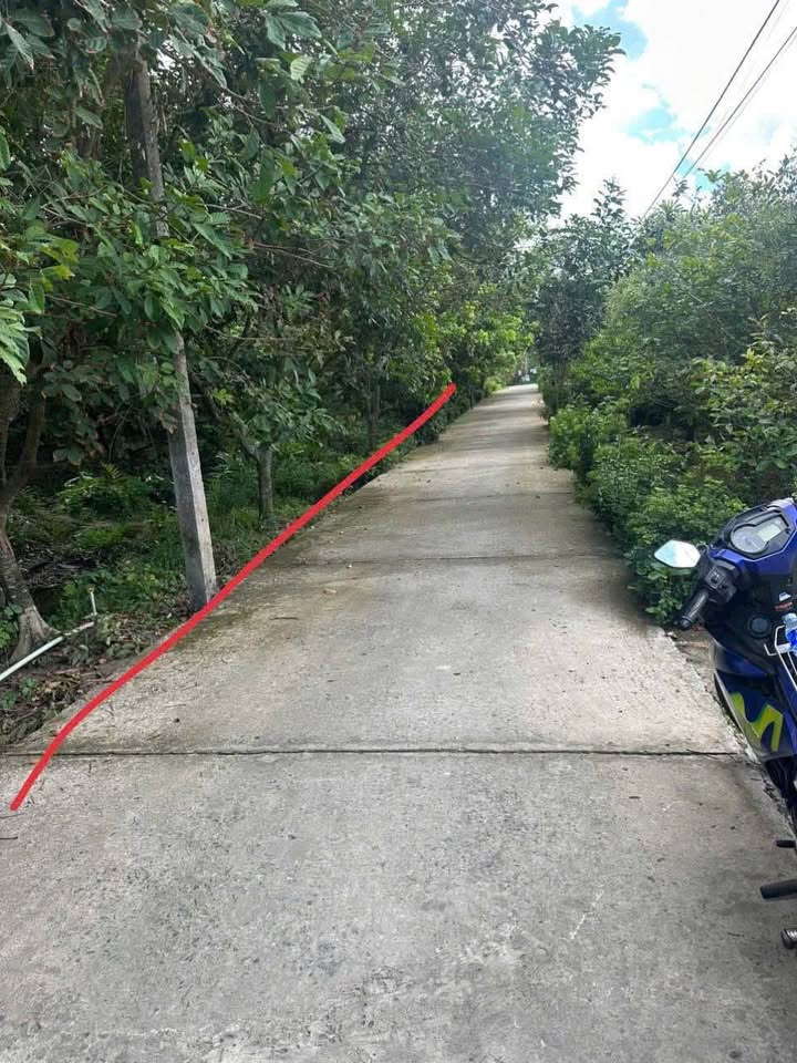 Đất nền Phú Phụng Chợ Lách 1461m² giá 1.1 tỷ - Đầu tư sinh lời cao!