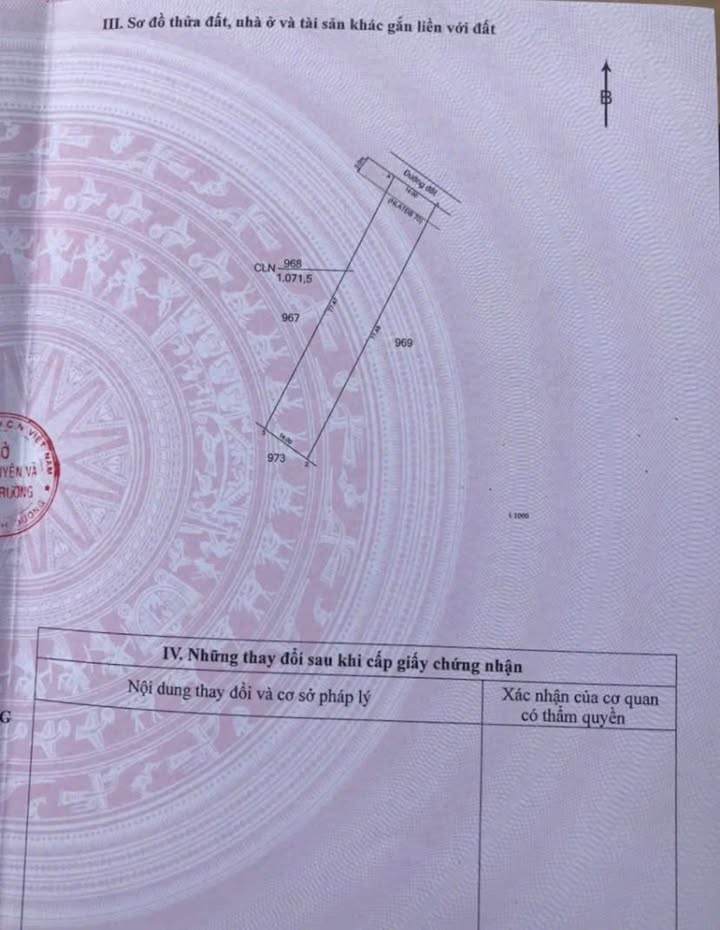 Đất vườn Dầu Tiếng 1071m² giá 700 triệu - Sổ hồng chính chủ, tiện nghi đầy đủ!