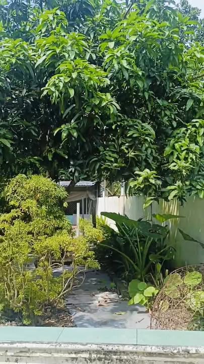 Nhà vườn 800m² Phú Hòa Đông giá 5.5 tỷ - Cơ hội đầu tư sinh lời