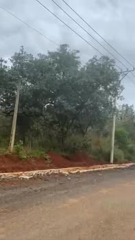 Đất mặt tiền 131m tại Tân Phước, Đồng Phú - 31.567m² giá thỏa thuận, đầu tư sinh lời!