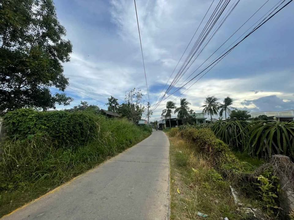 Đất mặt tiền bê tông Hàm Mỹ 1162m² giá 2.4 tỷ - Cơ hội đầu tư tuyệt vời!