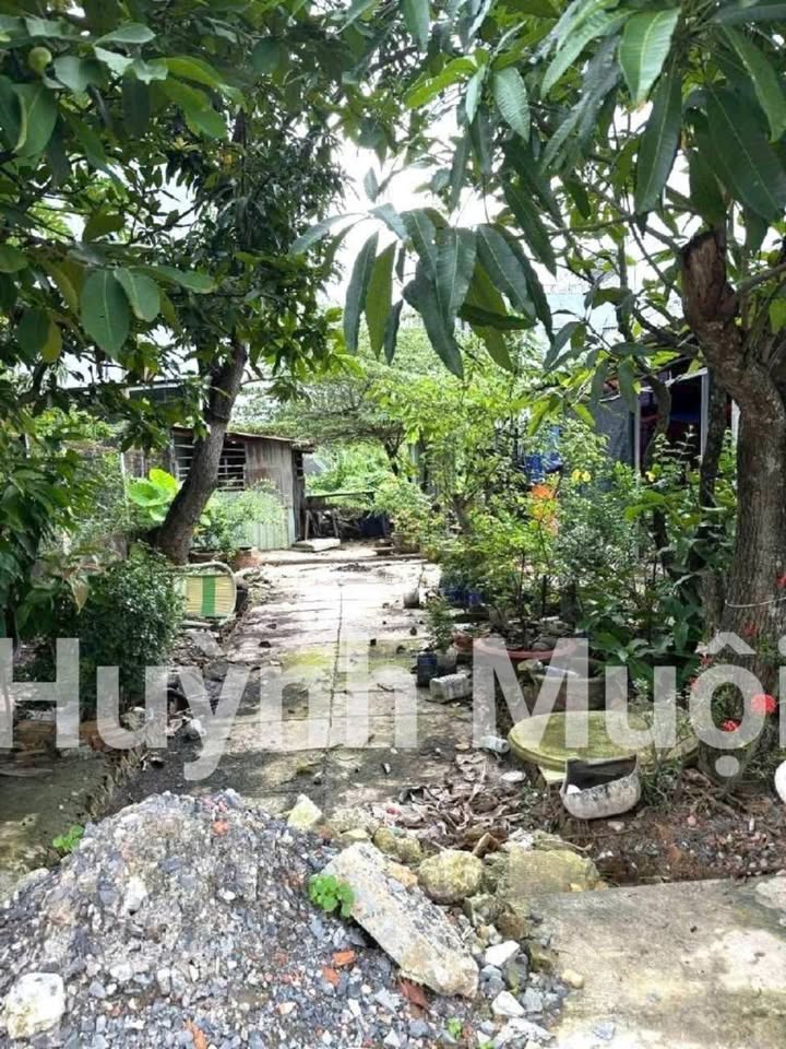 Đất nền KDC Phước Kiển 500m² giá 13.5 tỷ - Phù hợp xây biệt thự sân vườn!