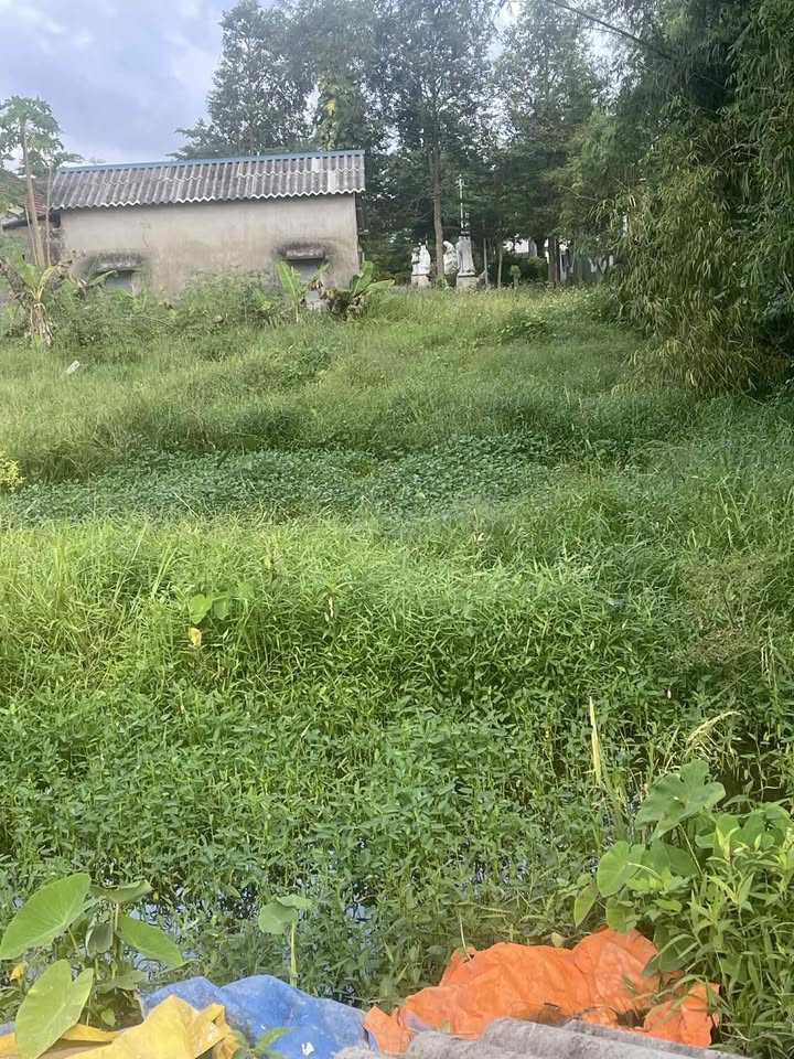 Đất nền Triệu Hòa, Triệu Phong 140m² giá chỉ từ 1xx triệu - Cơ hội đầu tư tuyệt vời!