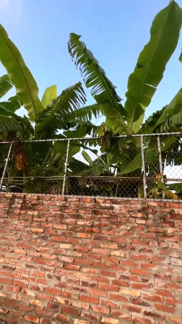 Đất nông nghiệp Vân Côn 1300m² giá 2.6 tỷ - Chính chủ cần bán gấp!