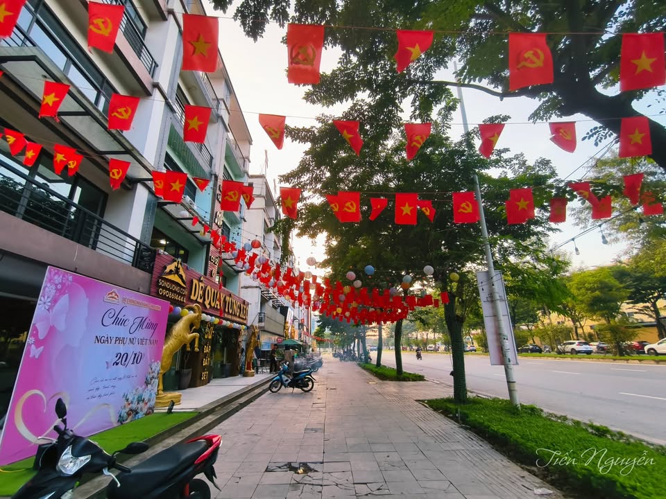 Shophouse mặt phố Trịnh Văn Bô, 100m² giá 30 triệu - Vị trí đắc địa gần Mỹ Đình!