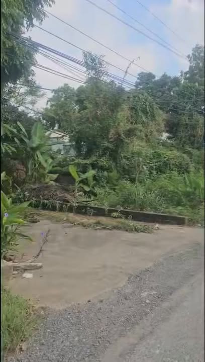 Đất nền đẹp tại thôn 7, Phú Cát, Quốc Oai, Hà Nội 641m² - Giá chỉ 6.41 tỷ!