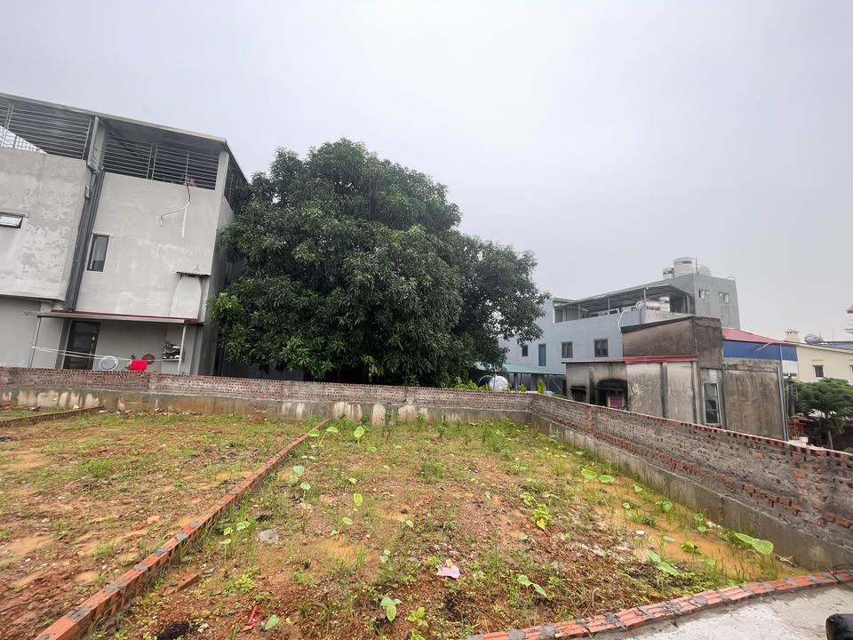 Đất thổ cư Xuân Hòa, Phúc Yên 50m² giá 1 tỷ - Vị trí vàng gần Đại học Sư Phạm!