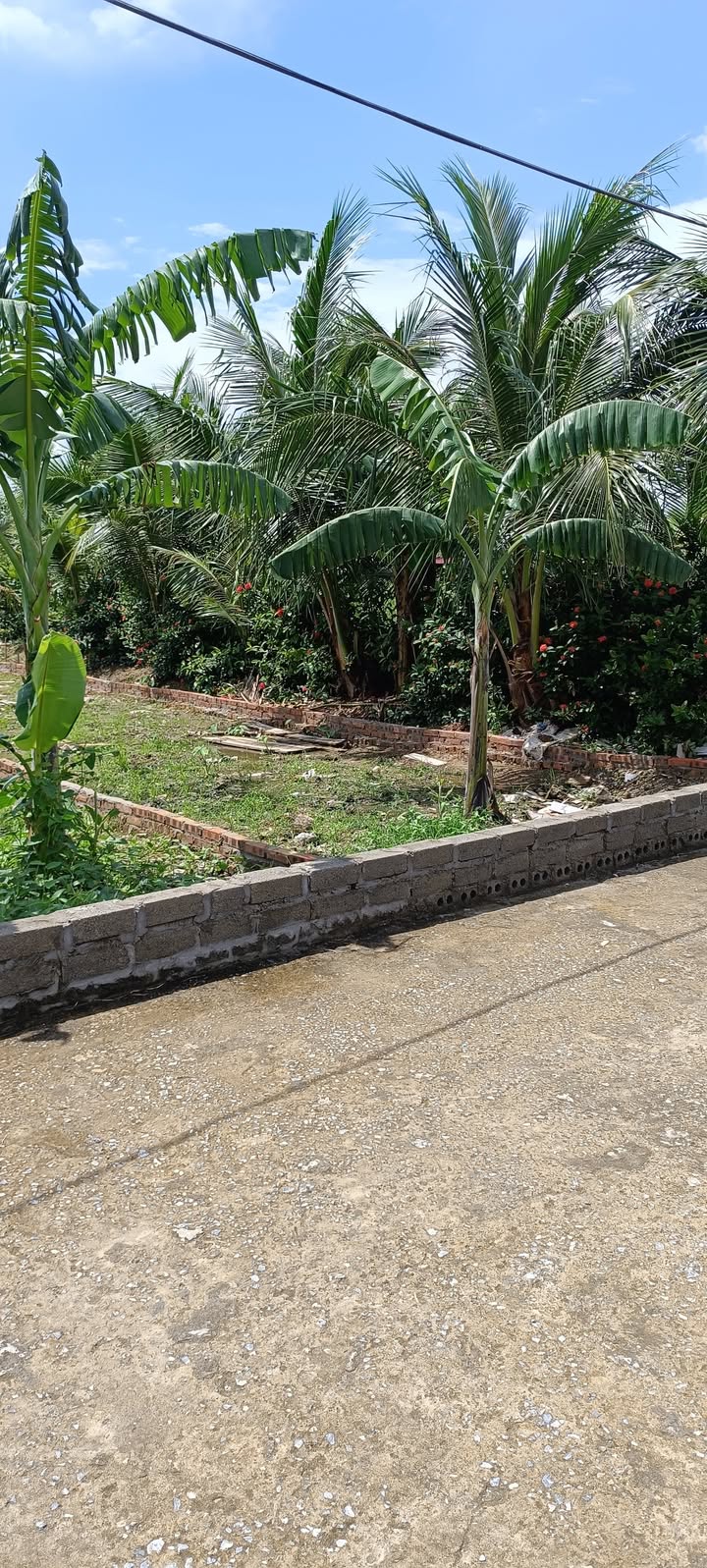 Đất nền Đào Yêu, An Dương, Hải Phòng 65m² - Giá chỉ 920 triệu, thương lượng tốt!