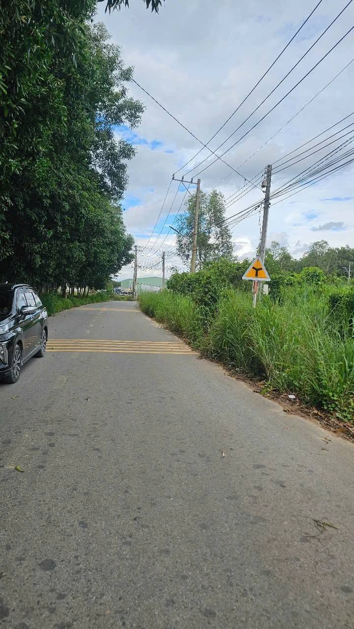 Đất thổ cư 240m² tại mặt tiền đường Tân Hiệp 10, Hóc Môn - Giá chỉ 2.25 tỷ!