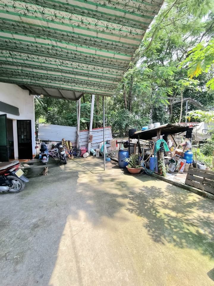 Lô đất sổ riêng Dĩ An 79m² giá 1.75 tỷ - Pháp lý rõ ràng, xe hơi vào tận đất!