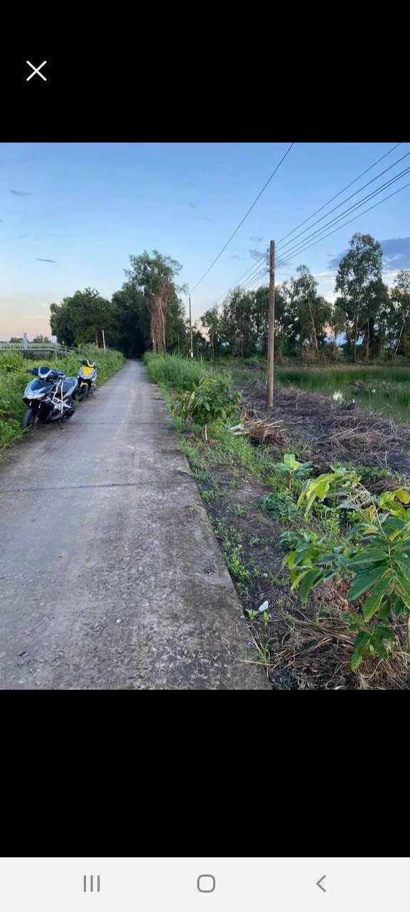 Đất nền đường Lộ 3m, ấp Tân Phong, xã Hòa Thành, Cà Mau 600m² - Đầu tư sinh lời ngay!