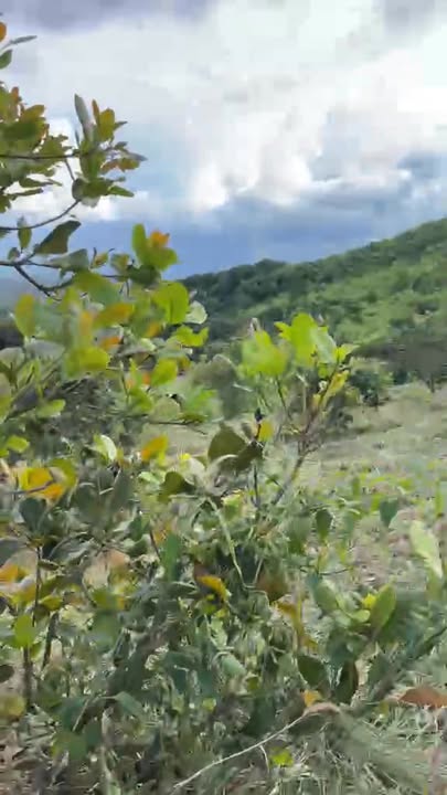 Đất nền 15000m² tại Ma Đa Guôi, Lâm Đồng - Giá chỉ 450 triệu, không tranh chấp!