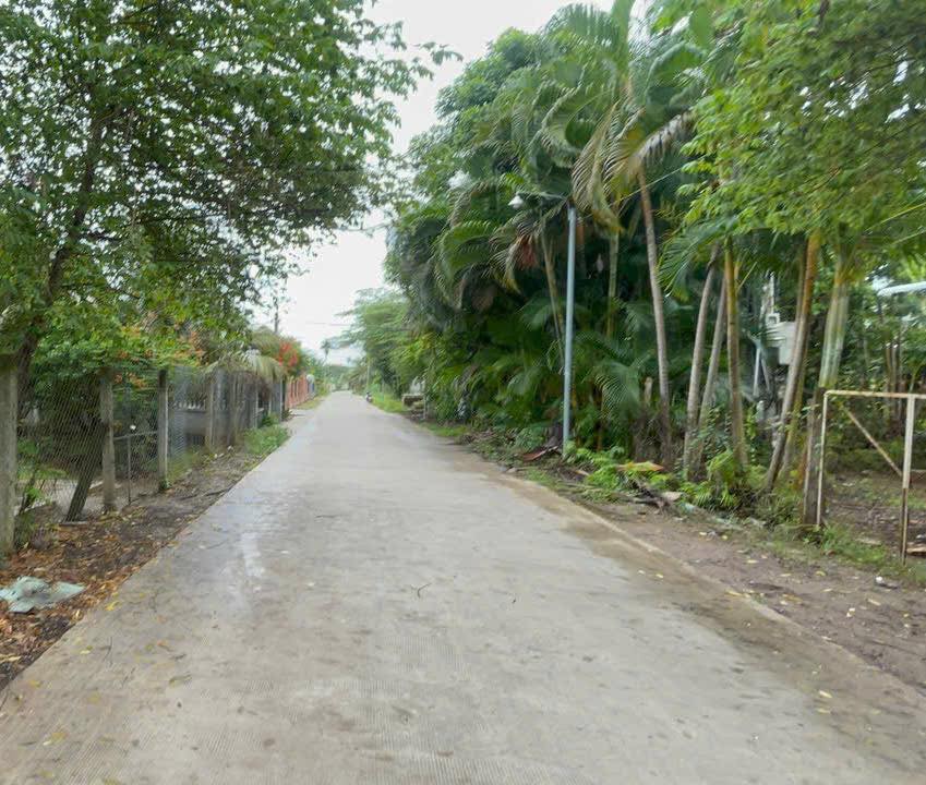 Bán nhà và dãy nhà trọ Phú Túc, Tam Bình, Vĩnh Long 508m² - Đầu tư sinh lời ngay!