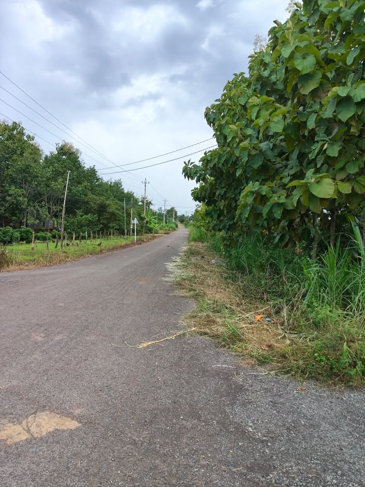 Đất nền 1560m² thôn Hiệp Đoàn, xã Quảng Hiệp giá 1.17 tỷ - Sổ đỏ chính chủ!