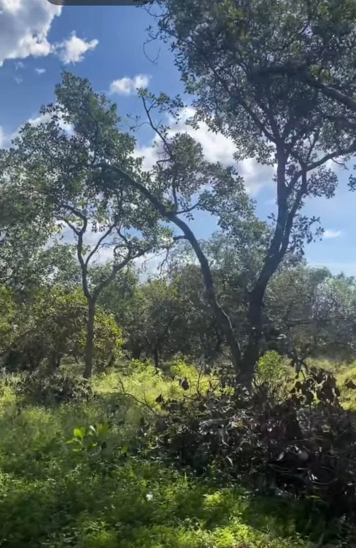 Đất nền Phú Trung Phú Riềng 10.000m² giá 1.3 tỷ - Đầu tư sinh lời hấp dẫn!